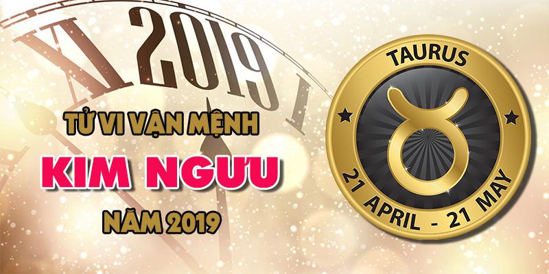 Vận mệnh của chòm sao Kim Ngưu trong năm 2019