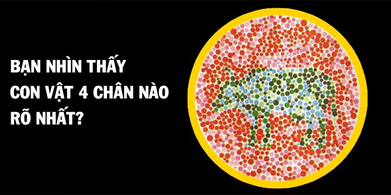 Trắc nghiệm hình ảnh: Tích cách thật sự của bạn mà nhiều khi chính bản thân cũng phải nghi ngờ