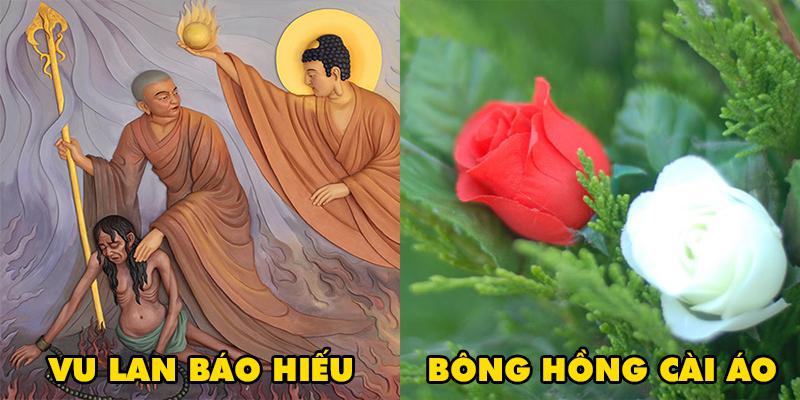 Lễ Vu Lan có nguồn gốc từ đâu và vì sao lại cài bông hồng trong ngày Báo hiếu?