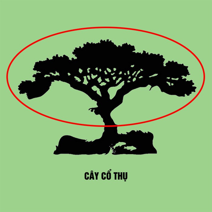 Cây cổ thụ