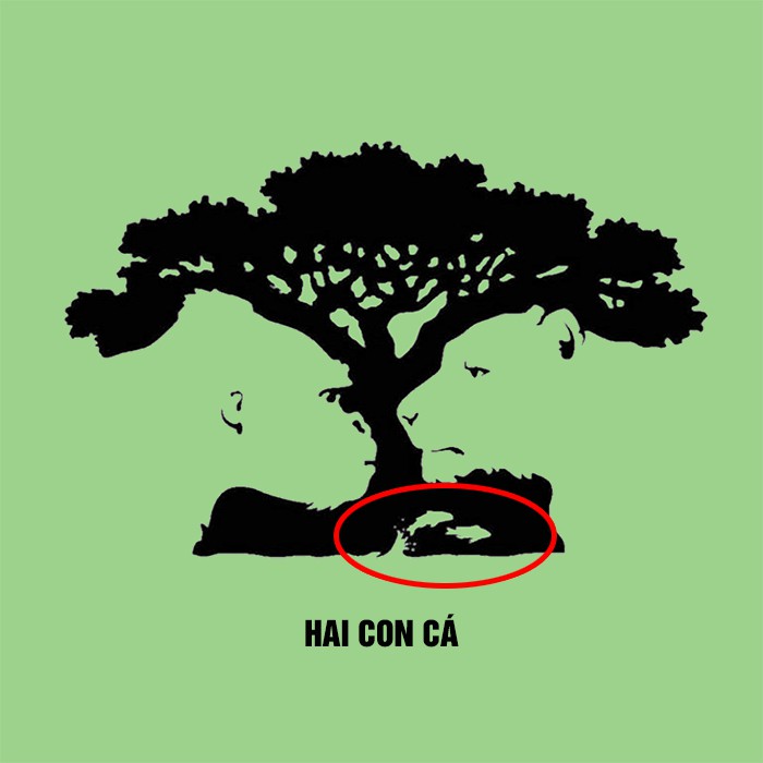 Hai con cá