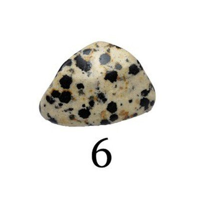 Viên đá số 6: Dalmatian Jasper