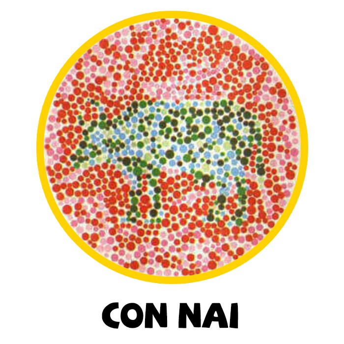 Con Nai