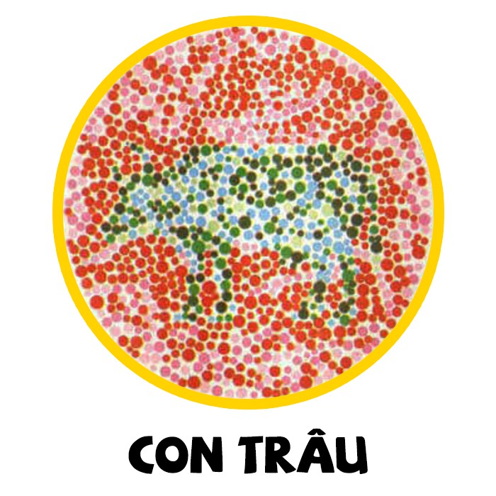 Con Trâu